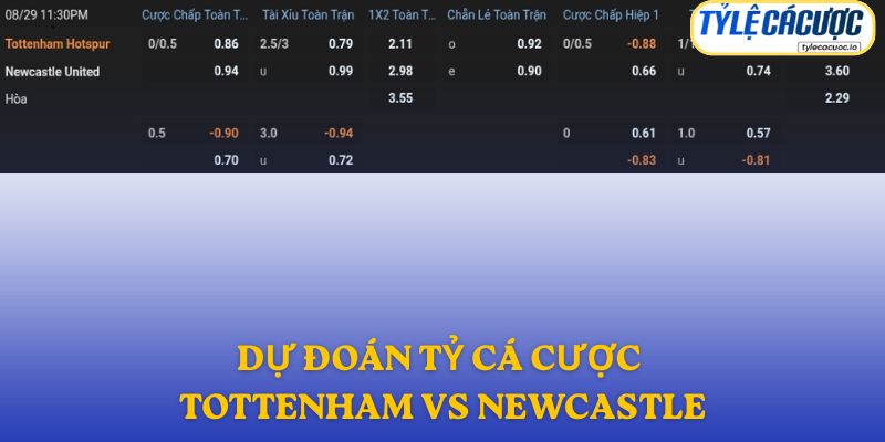 Soi kèo nhà cái Tottenham vs Newcastle – dự đoán từ chuyên gia