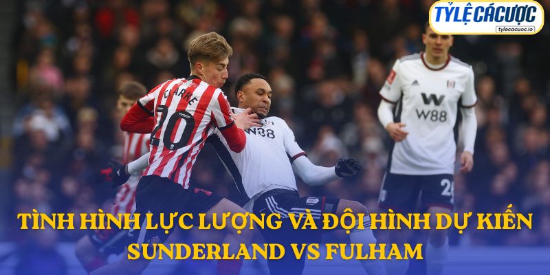 Thông tin đội hình dự kiến Sunderland vs Fulham