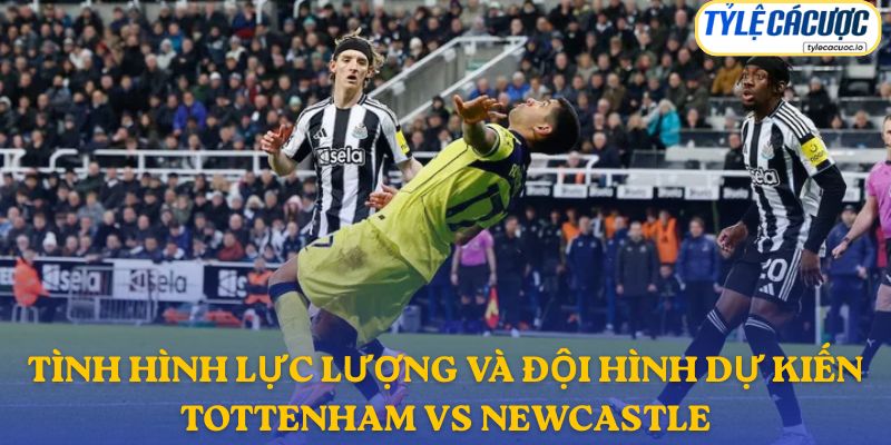 Thông tin đội hình dự kiến Tottenham vs Newcastle