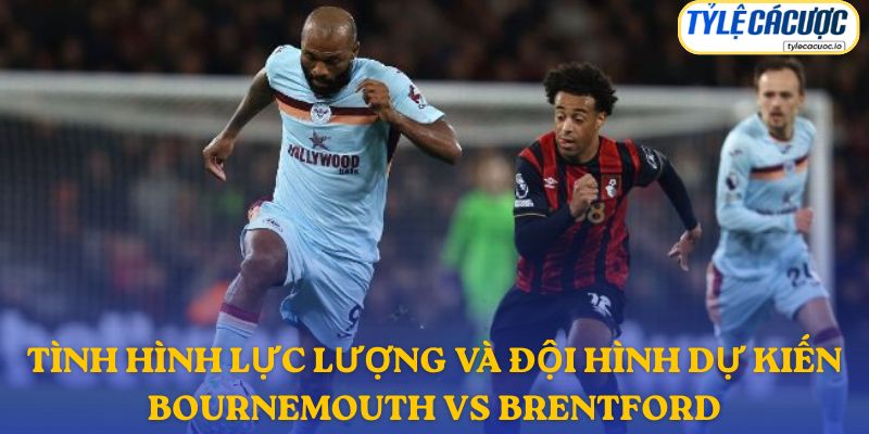 Thông tin đội hình dự kiến Bournemouth vs Brentford