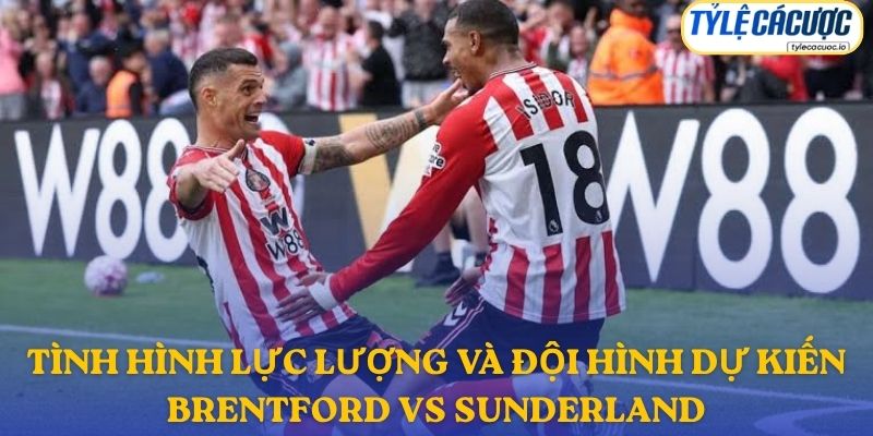 Thông tin lực lượng Brentford vs Sunderland