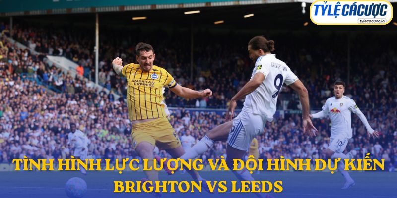 Thông tin lực lượng Brighton vs Leeds United